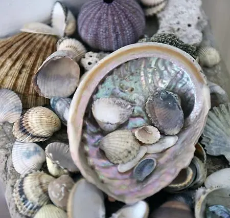 Apartman Sonata Split