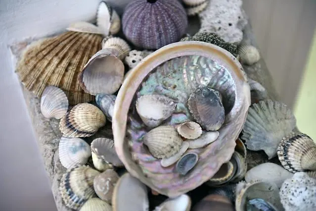 Lejlighed Sonata Split